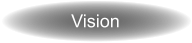 Vision